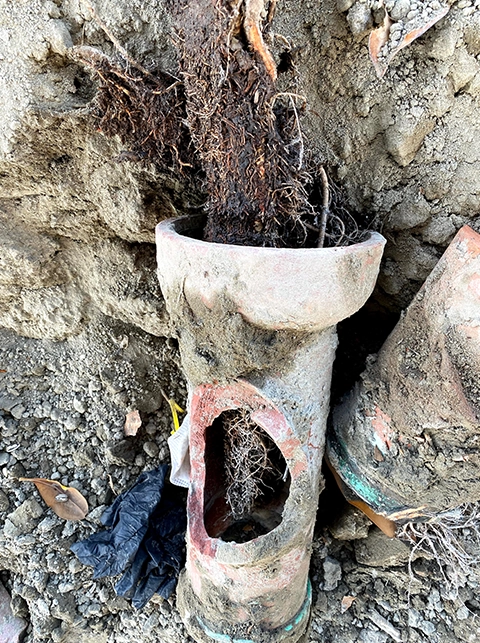 Illustrated plumbing checklist with icons for inspection, repair, and cleanup steps